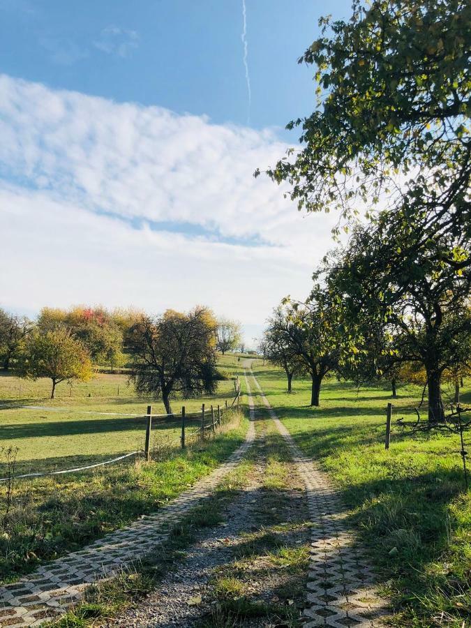 Schwarzwald Boutique-Apartment Haus Rehgarten Gaggenau Eksteriør billede